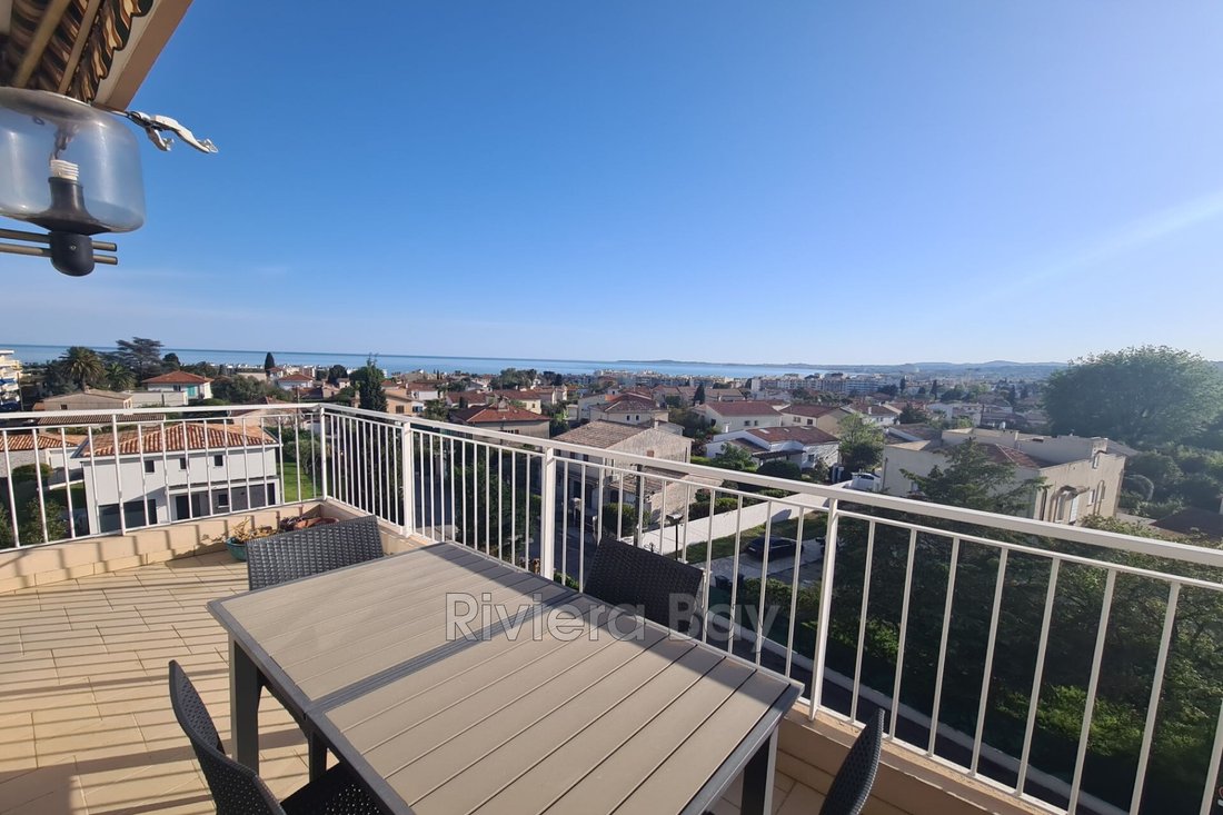 Apartment in Collettes Bréguières-Sud, Cagnes-sur-Mer, France 1 - 14558743