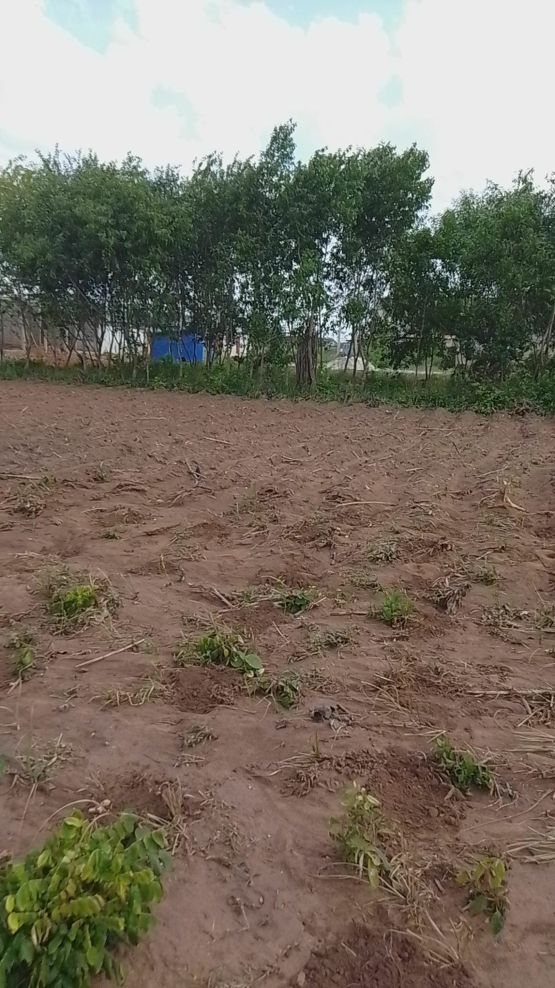 Land in Abomey Calavi, Atlantique Department, Benin 3 - 15706051