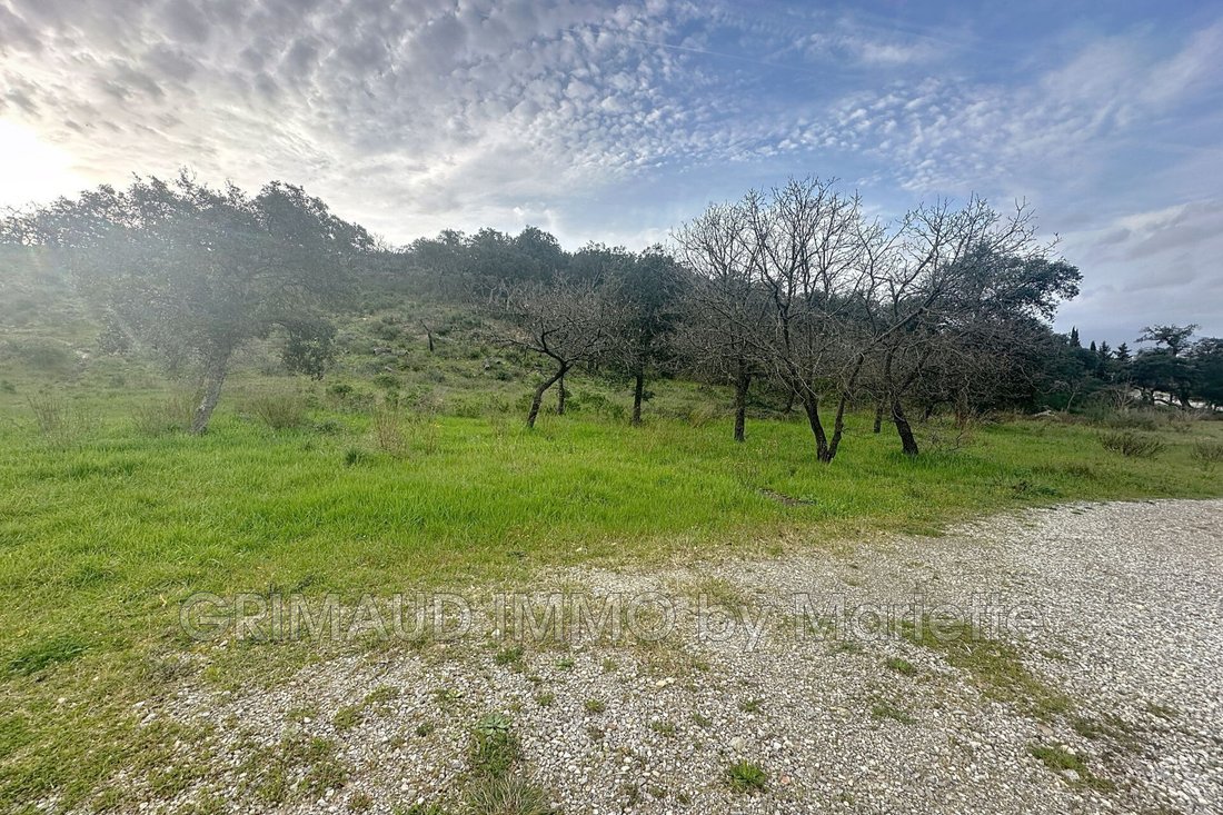 Land in Grimaud, Provence-Alpes-Côte d'Azur, France 2 - 15373244