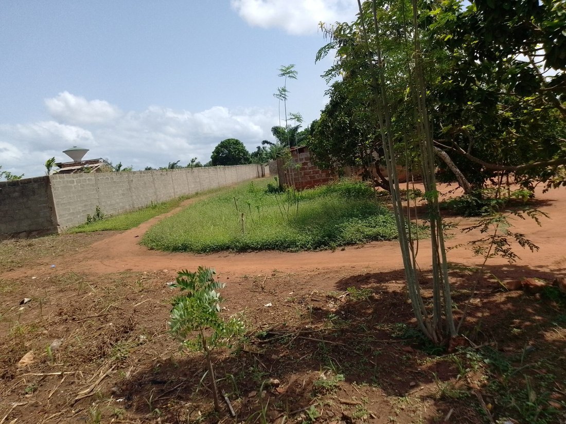 Land in Abomey Calavi, Atlantique Department, Benin 4 - 15705998