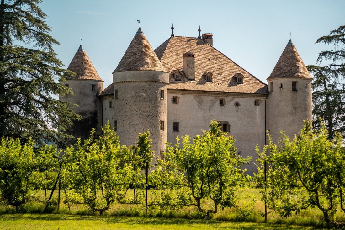 House in Lully, Auvergne-Rhône-Alpes, France 5 - 15699510
