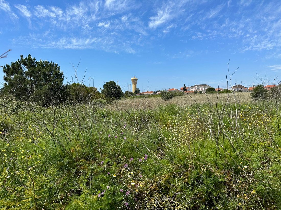 Land in Charneca de Caparica e Sobreda, Setubal, Portugal 1 - 15703500