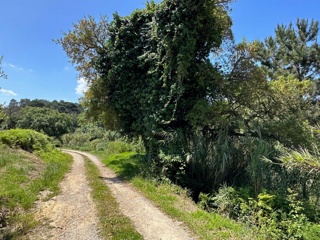 Land in Sesimbra (Castelo), Setubal, Portugal 1 - 15702200