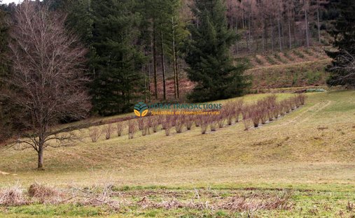 Castle for Sale in Remiremont, Grand Est, France