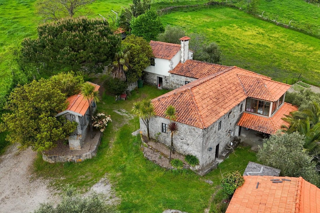 Azienda agricola a Felgueiras e Feirao, Distretto di Viseu, Portogallo 5 - 15701340