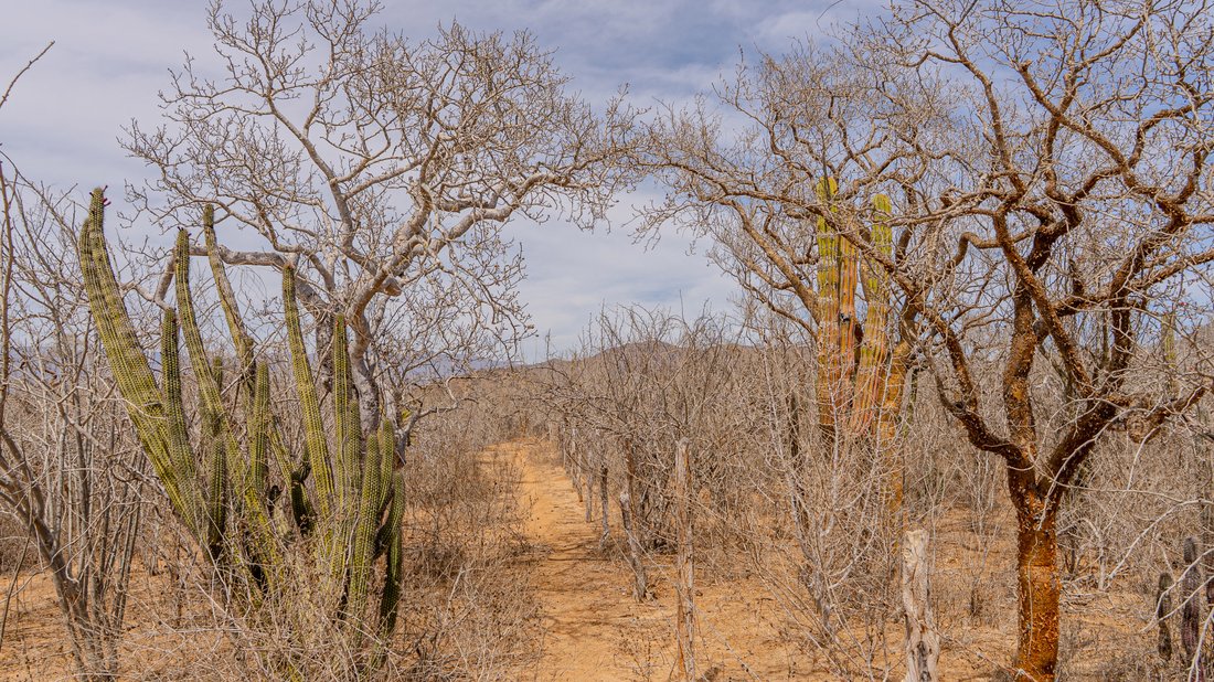 Land in El Pescadero, Baja California Sur, Mexico 4 - 15698487