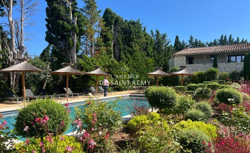 Villa in Saint-Rémy-de-Provence, Provence-Alpes-Côte d'Azur, France 1