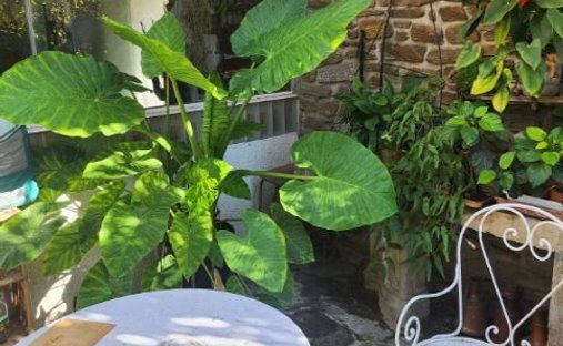 Villa in Super-Toulon, Toulon, France 1