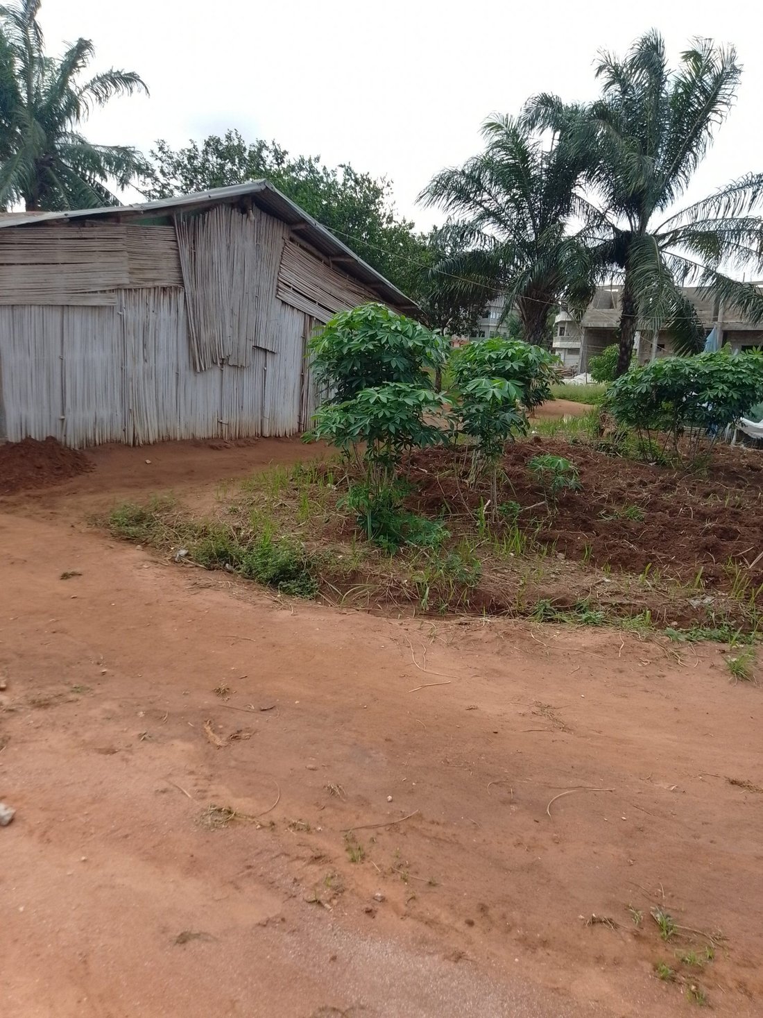 Land in Abomey Calavi, Atlantique Department, Benin 1 - 15706035