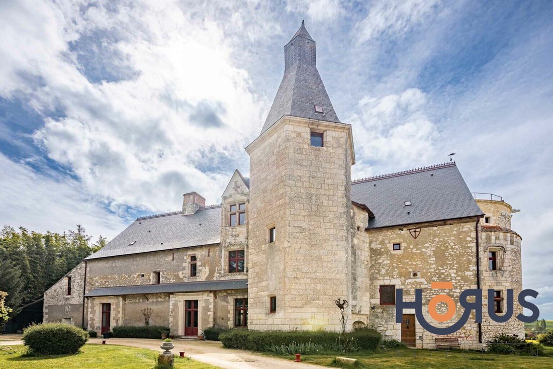 Chateau in Vou, Centre-Val de Loire, France 1 - 15706791