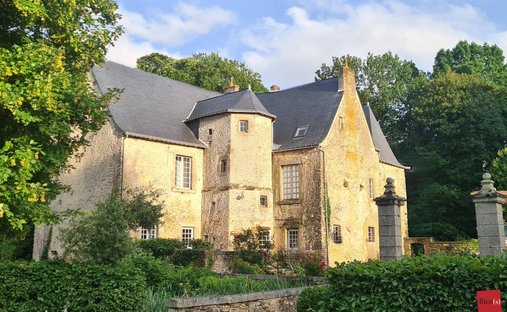 Anwesen in Laval, Pays de la Loire, Frankreich 1