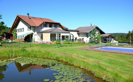 Faymont Castle In Val D'ajol