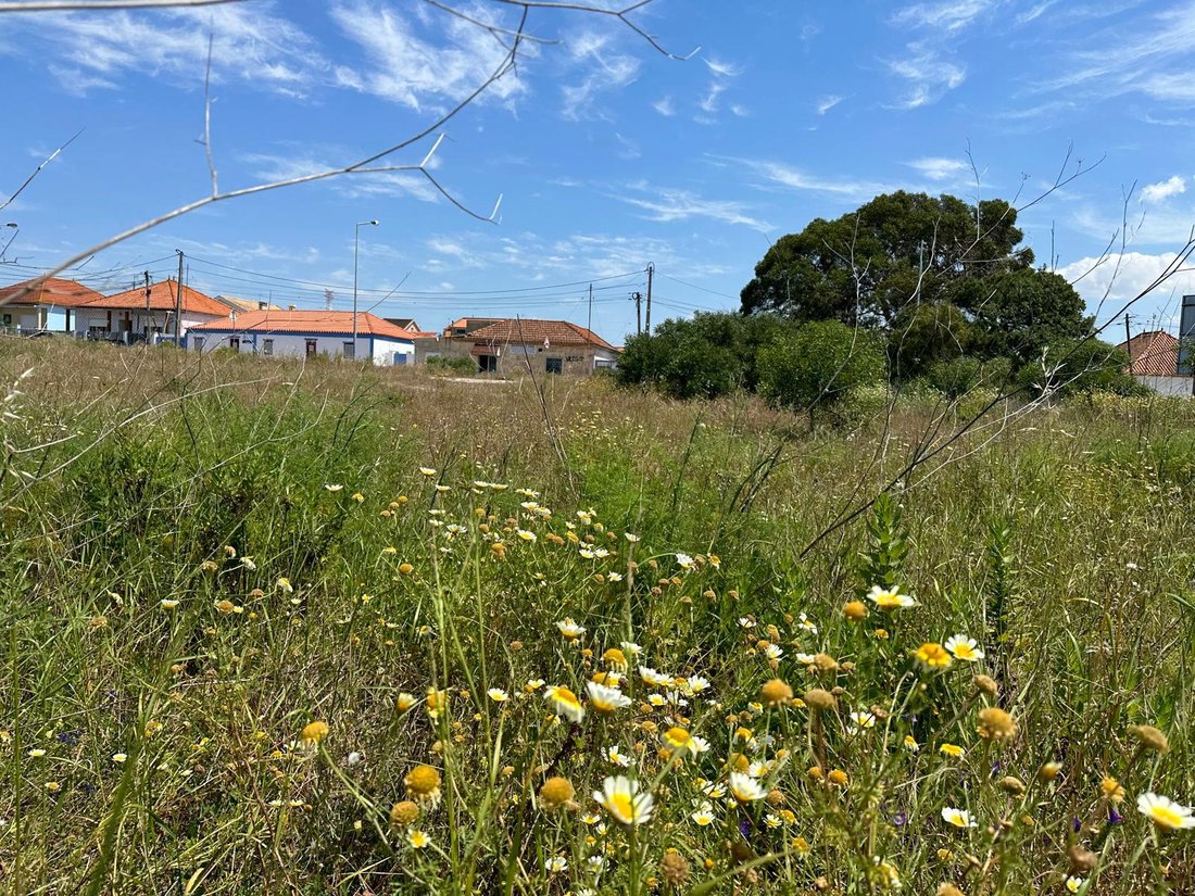 Land in Charneca de Caparica e Sobreda, Setubal, Portugal 5 - 15703500