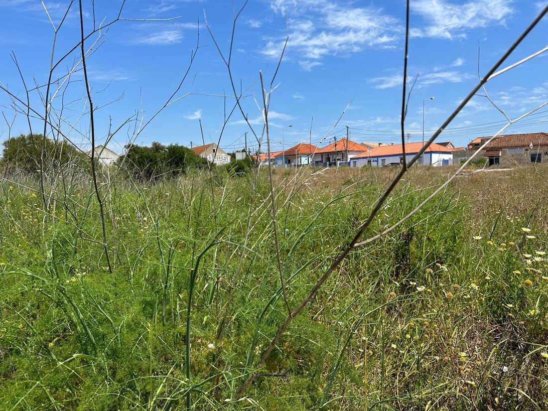 Land in Charneca de Caparica e Sobreda, Setubal, Portugal 4 - 15703500