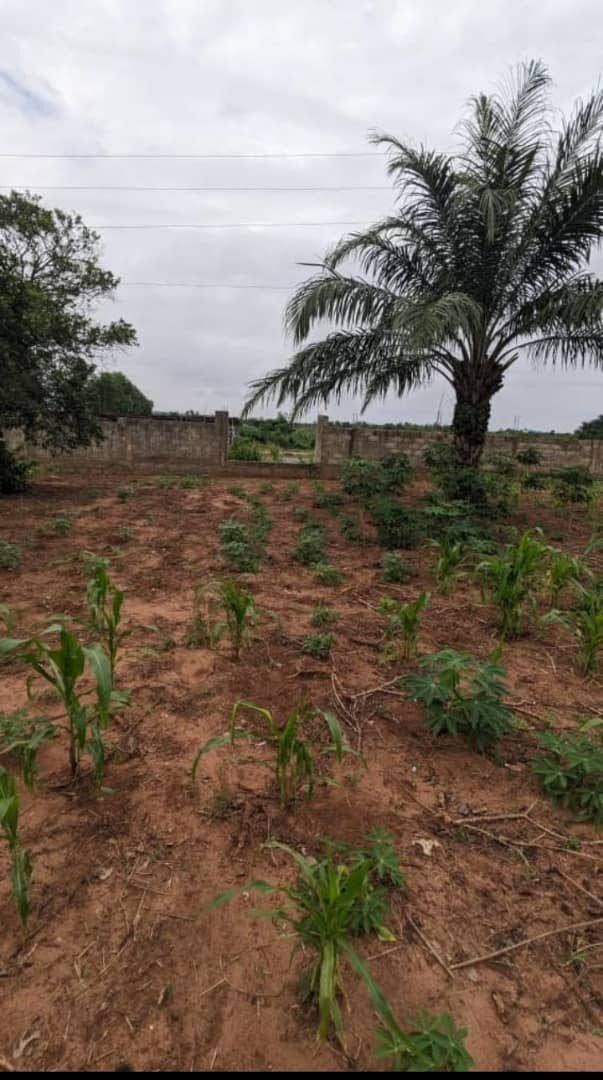 Land in Abomey Calavi, Atlantique Department, Benin 1 - 15705984