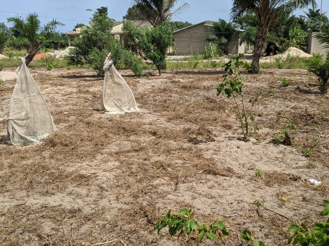 Land in Ouidah, Atlantique Department, Benin 2 - 15705952