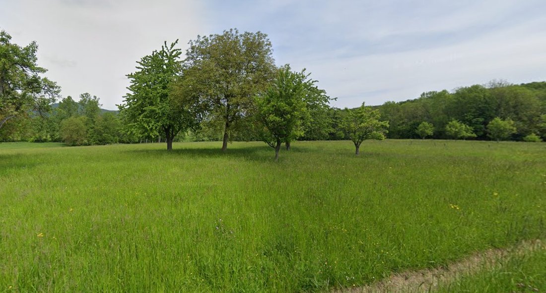 House in Hengwiller, Grand Est, France 2 - 15706671