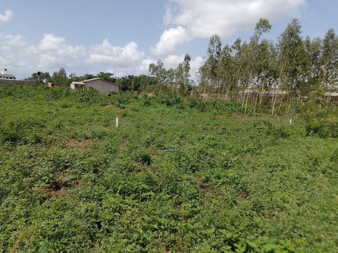 Land in Abomey Calavi, Atlantique Department, Benin 3 - 15705998