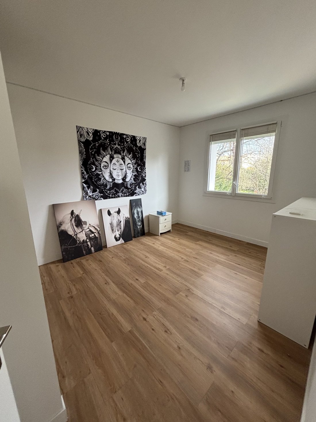 House in Villenave-d'Ornon, Nouvelle-Aquitaine, France 4 - 15705637