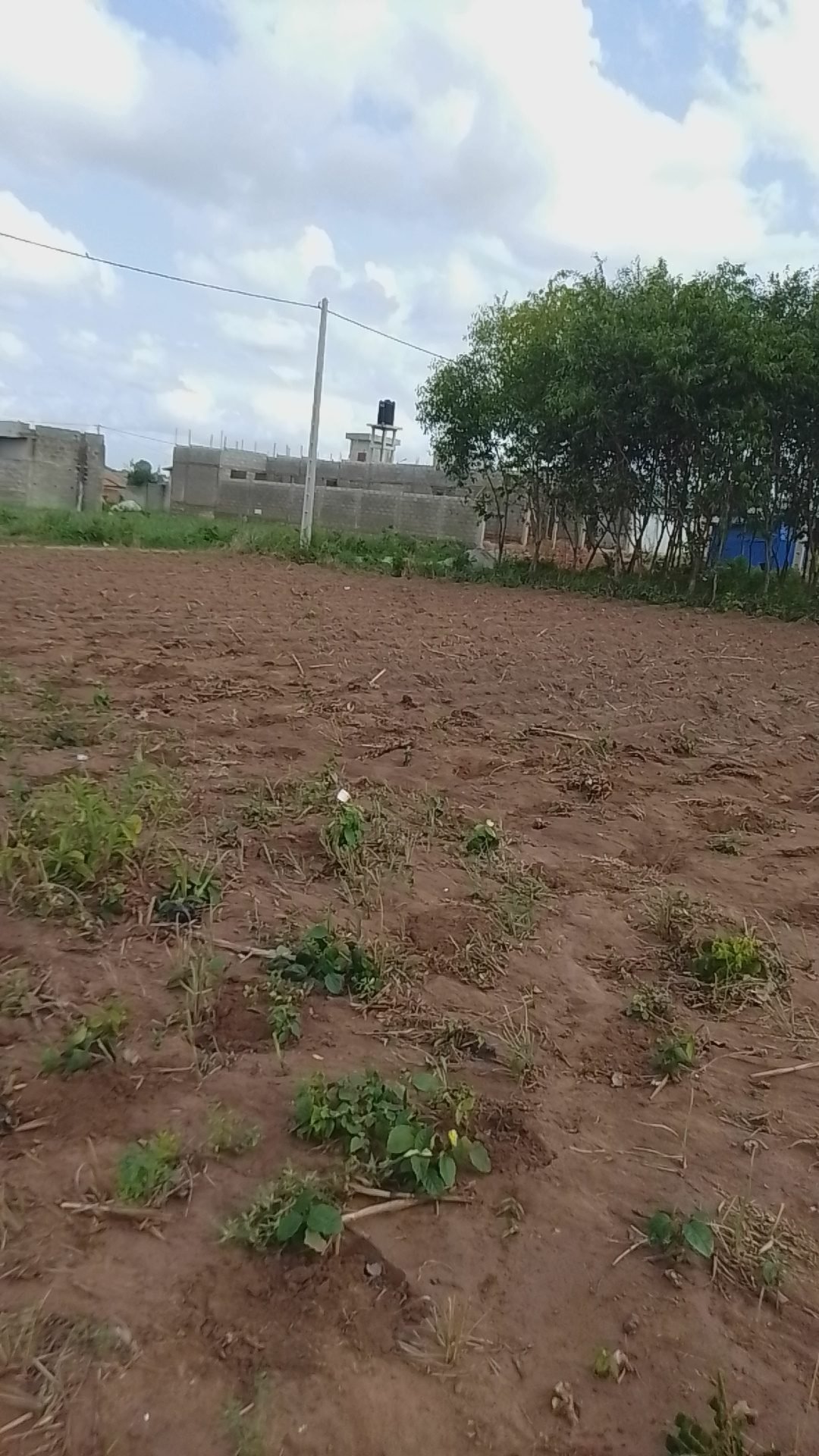 Land in Abomey Calavi, Atlantique Department, Benin 4 - 15706051