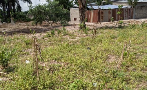 Land in Ouidah, Atlantique Department, Benin 1