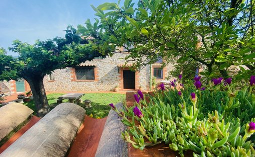 Apartment in Nord, Prades, France 1