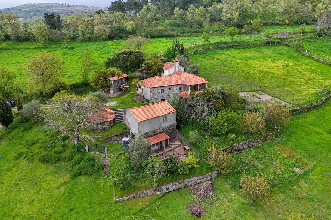 Azienda agricola a Felgueiras e Feirao, Distretto di Viseu, Portogallo 1 - 15701340