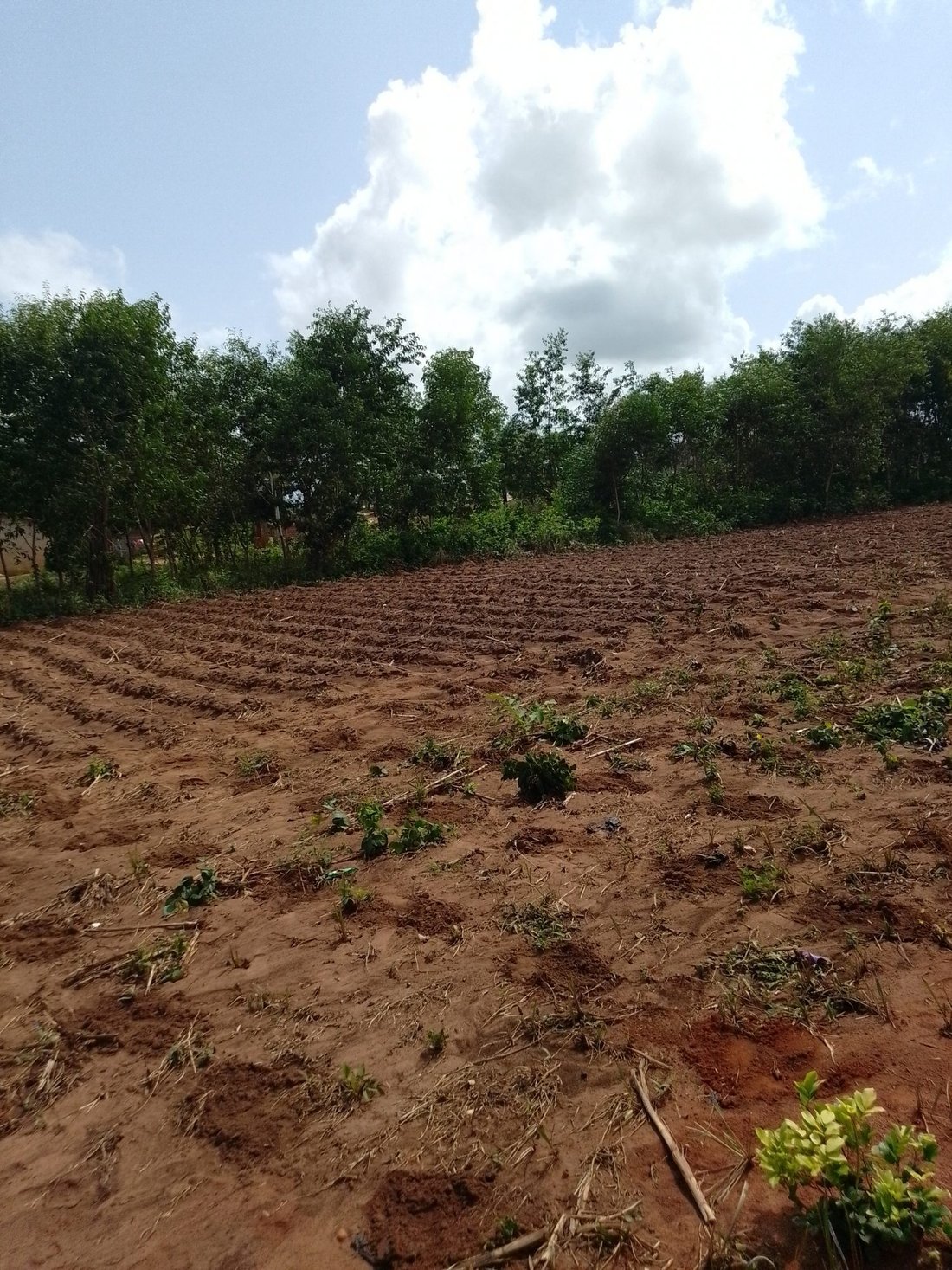 Land in Abomey Calavi, Atlantique Department, Benin 2 - 15706051