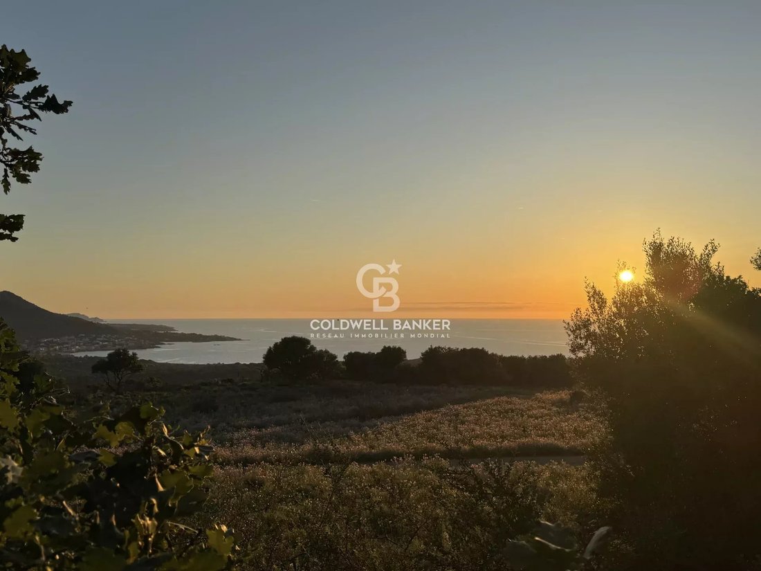 Land in Corbara, Corsica, France 2 - 15461811
