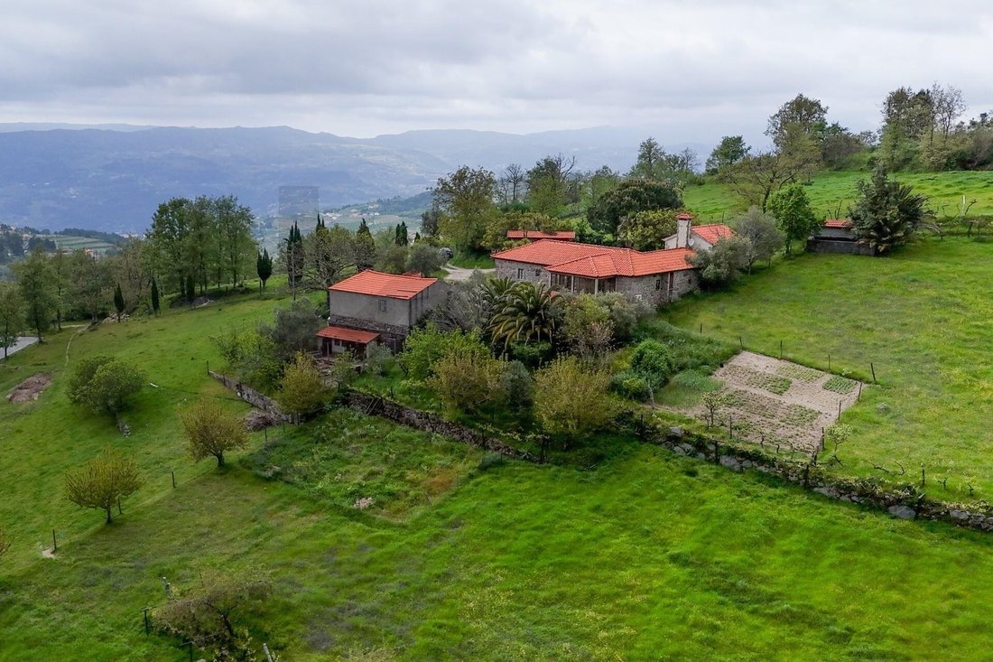 Azienda agricola a Felgueiras e Feirao, Distretto di Viseu, Portogallo 2 - 15701340