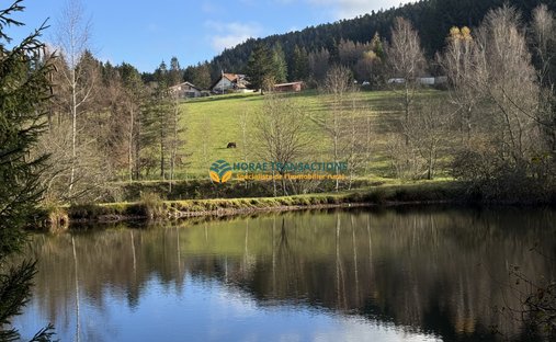 Faymont Castle In Val D'ajol