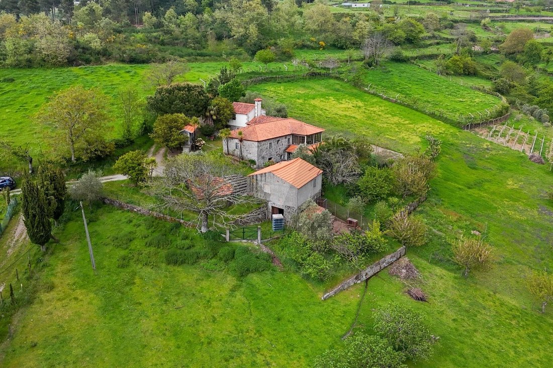 Azienda agricola a Felgueiras e Feirao, Distretto di Viseu, Portogallo 3 - 15701340