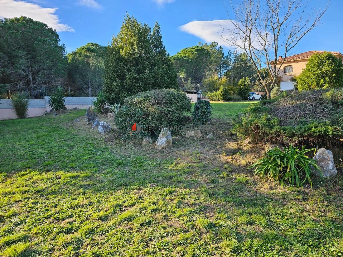 Château des Rêves: A Sunlit Sanctuary in Occitanie’s Golden Light - 5