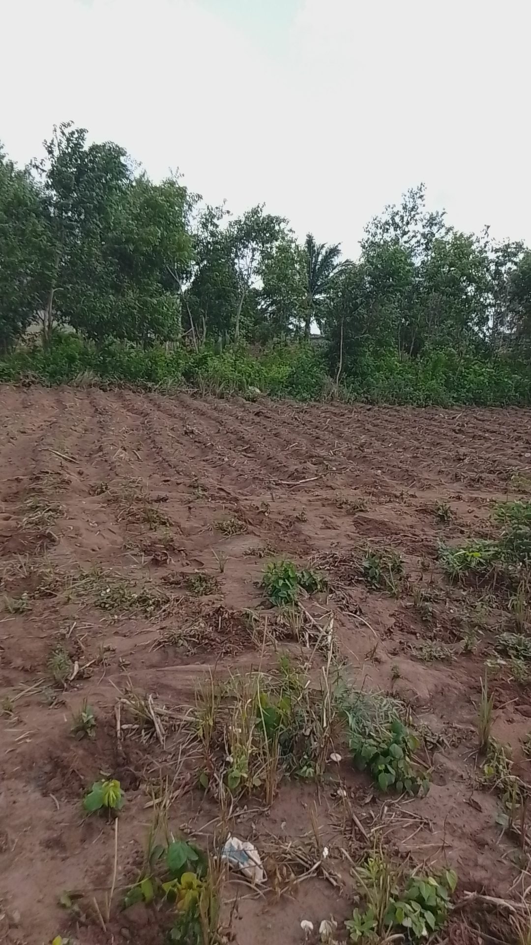 Land in Abomey Calavi, Atlantique Department, Benin 1 - 15706051