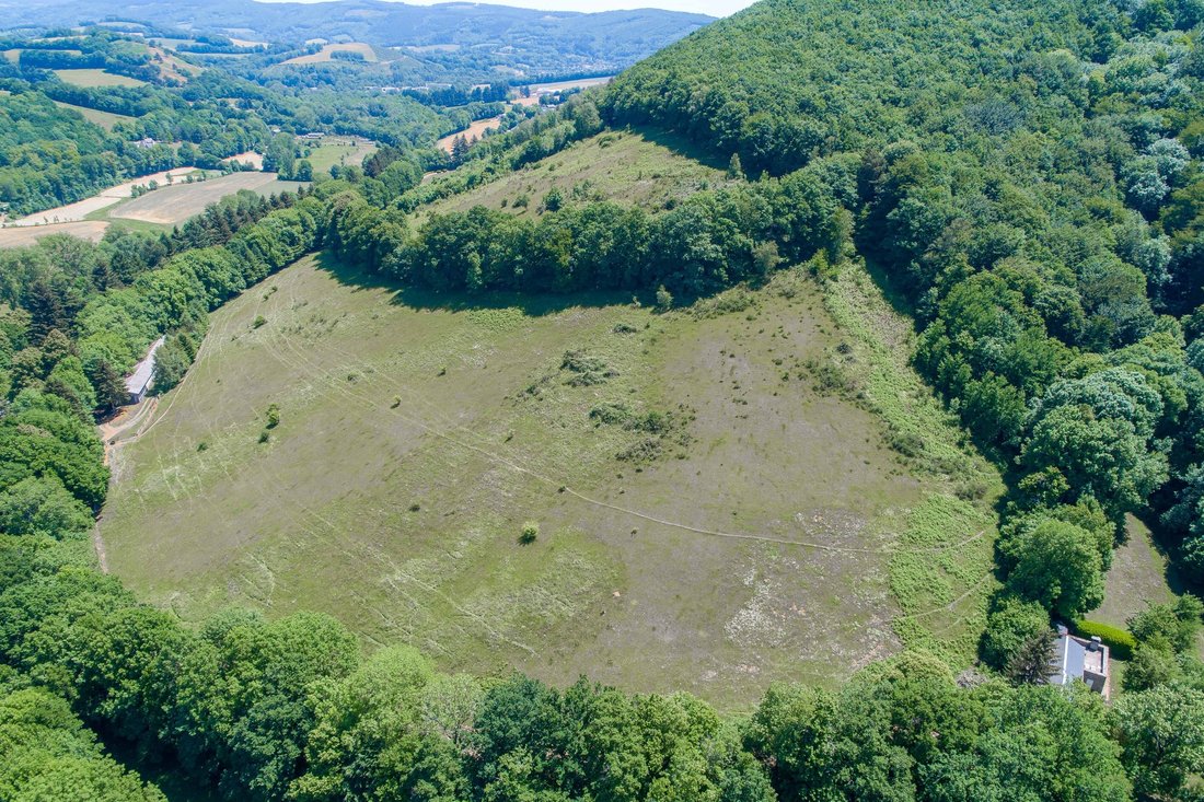 House in Burlats, Occitania, France 5 - 15699635