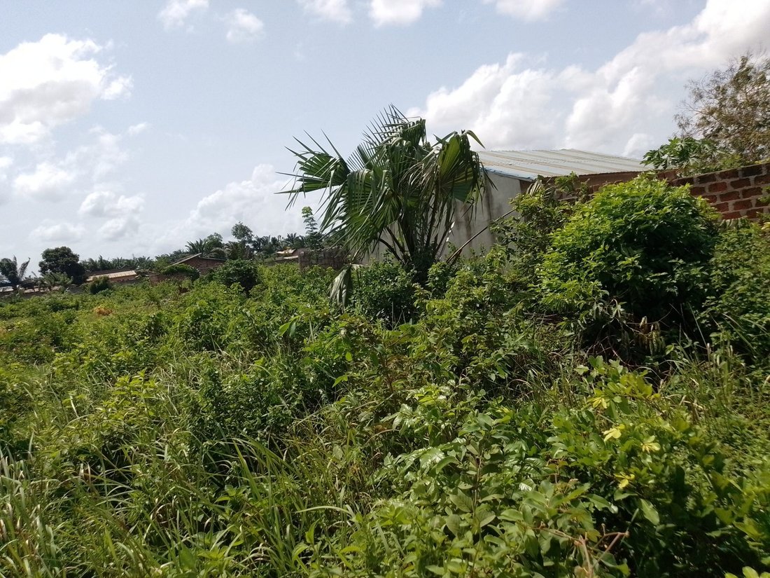 Land in Abomey Calavi, Atlantique Department, Benin 2 - 15705998