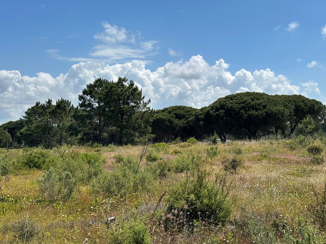 Land in Sesimbra (Castelo), Setubal, Portugal 5 - 15702200