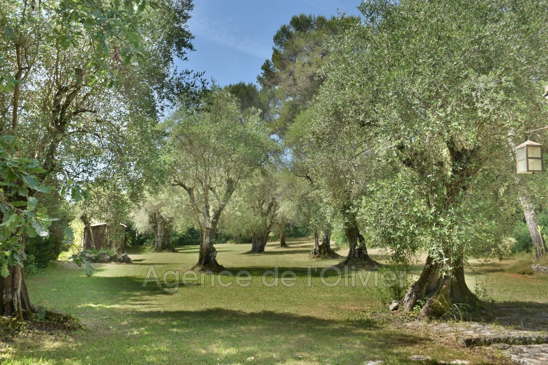 Villa in Valbonne, Provence-Alpes-Côte d'Azur, France 2 - 15618913