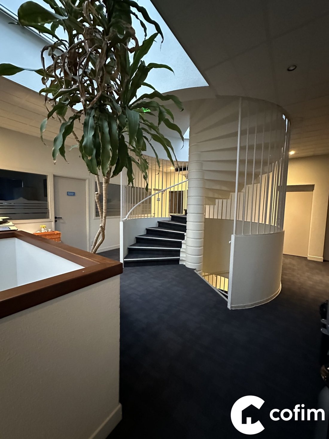 Centre-Marcadieu-Marne, Tarbes, France 5 - 15705296