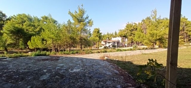 Land in Dionysos, Attica, Greece 1 - 15698962