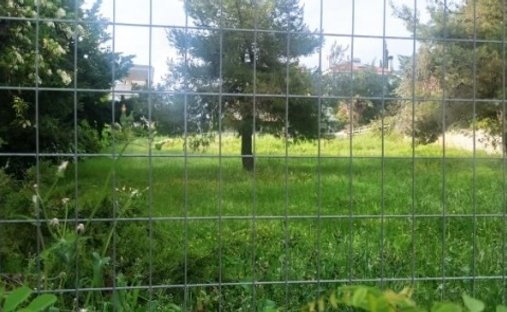 Land in Dionysos, Attica, Greece 1