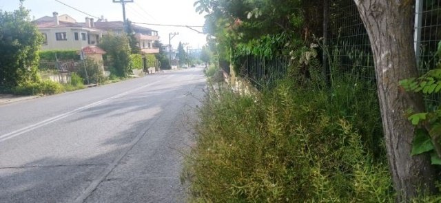 Land in Dionysos, Attica, Greece 5 - 15698971