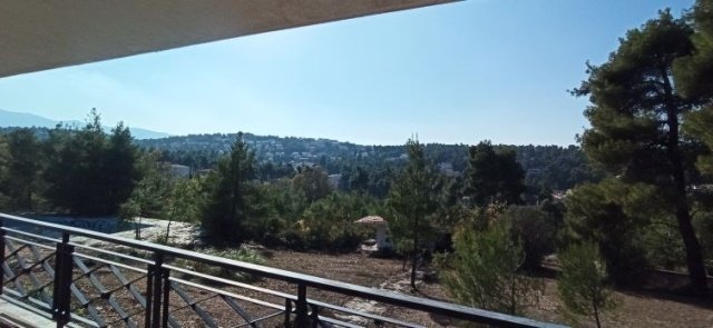 Land in Dionysos, Attica, Greece 4 - 15698962