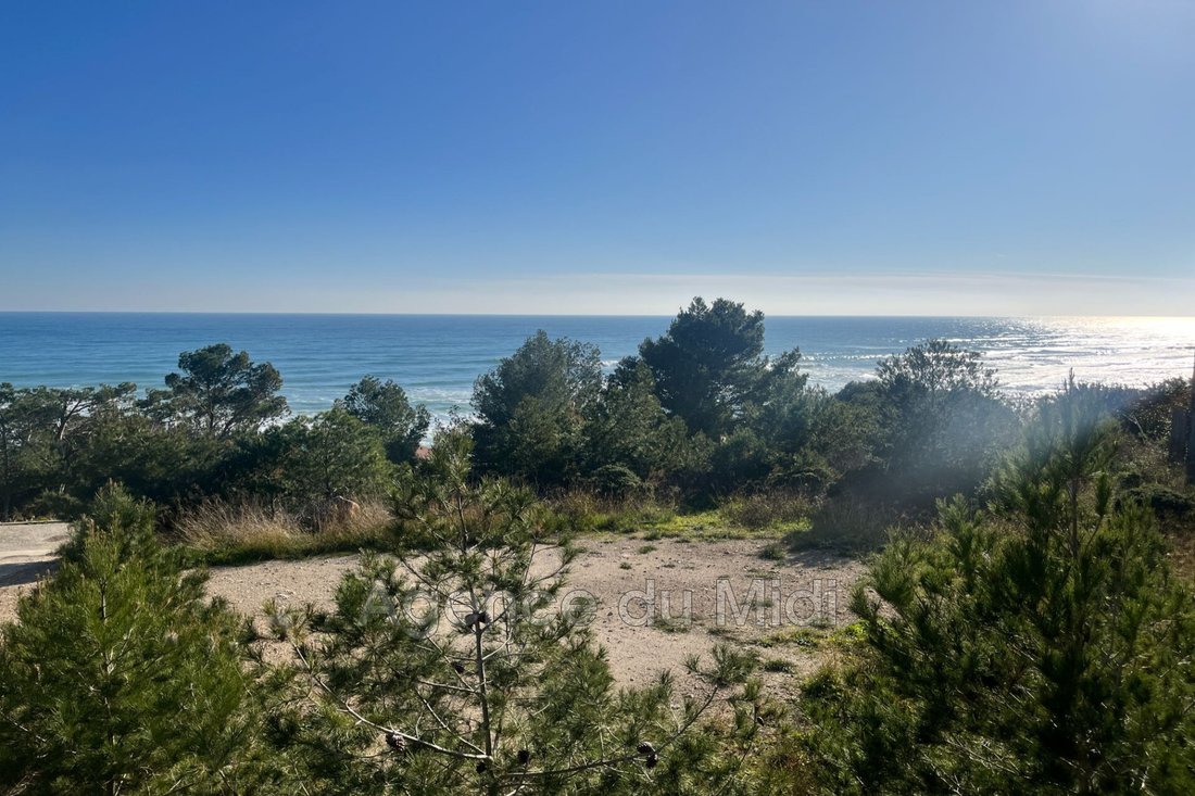 Land in Leucate, Occitania, France 1 - 15200442