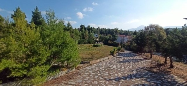 Land in Dionysos, Attica, Greece 3 - 15698962