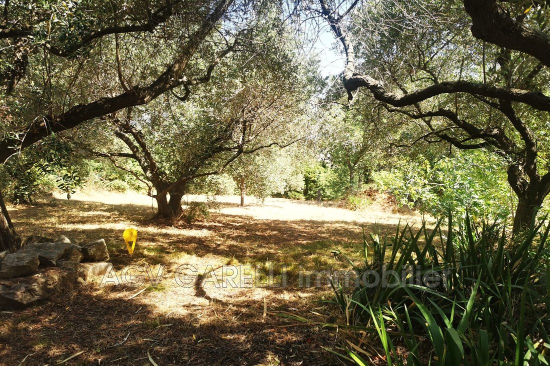 Villa à Toulon, Provence-Alpes-Côte d'Azur, France 1 - 14400934