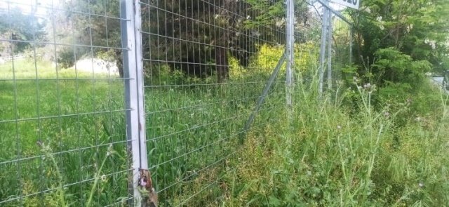 Land in Dionysos, Attica, Greece 4 - 15698971