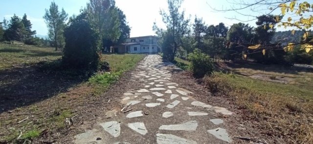 Land in Dionysos, Attica, Greece 2 - 15698962