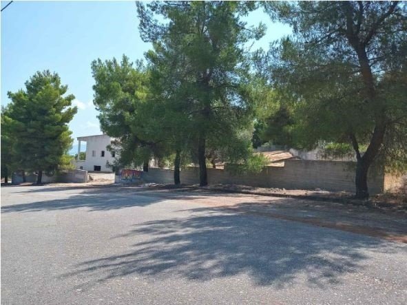 Casa a Malesina, Thessaly and Central Greece, Grecia 5 - 15698976