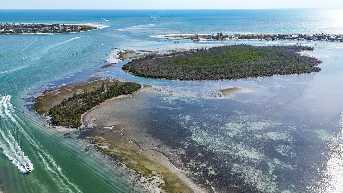 Private Island in Placida, Florida, United States 1 - 14169752